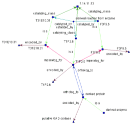 ONDEX DB schema and FastCircle Layout example